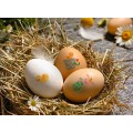 Deko-Tattoos für Eier