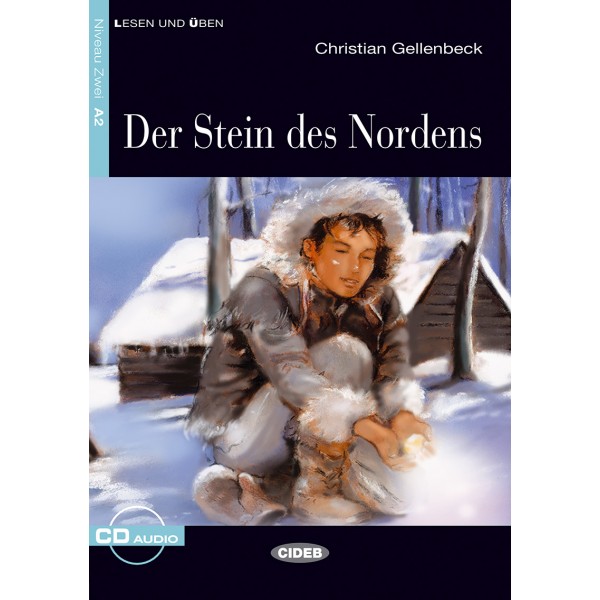 Der Stein des Nordens (Buch + CD)